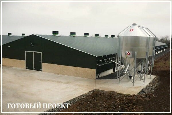 Этапы возведения птицефабрики от завода ВелесТент-чбр